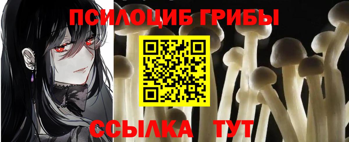 Псилоцибиновые грибы ЛСД Иваново